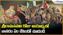 శ్రీరామనవమి రోజు అయోధ్యలో వానరం ఏం చేసిందో చూడండి: Ayodhya Rama Navami | Asianet News Telugu