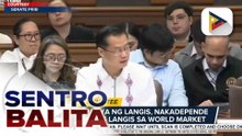 Senado, tinitingnan ang posibleng pagpapatupad ng windfall tax sa mga kumpanyang sobrang maningil sa presyo ng langis | ulat ni Louisa Erispe
