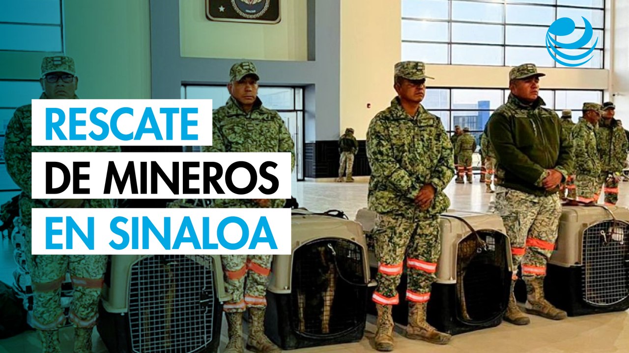 Ejército despliega especialistas y binomios caninos para rescatar a 4 mineros atrapados en Sinaloa