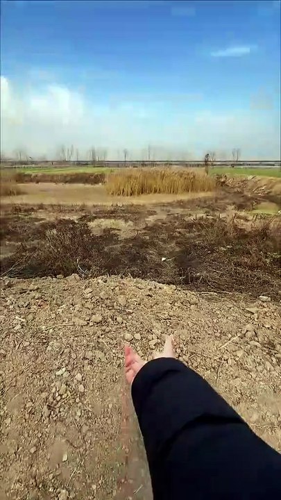 ssstik.io_@hina.956_1774526959491