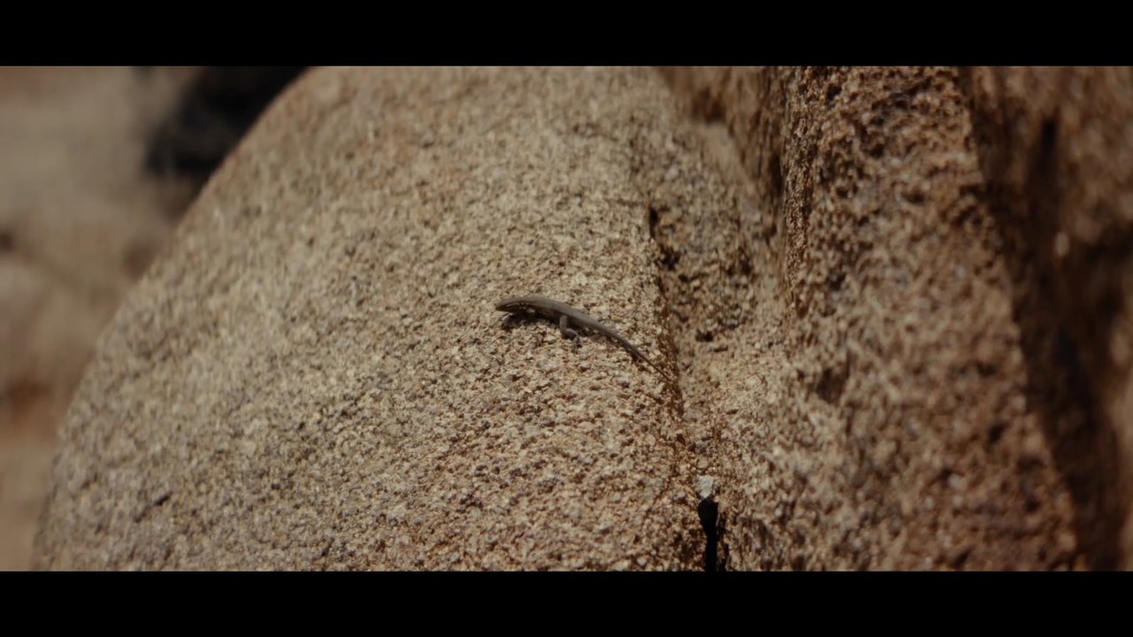 Magic Hour Trailer OV