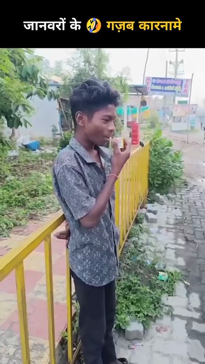 funny video 159 _ janvaron ke gajab karname #shorts #funny