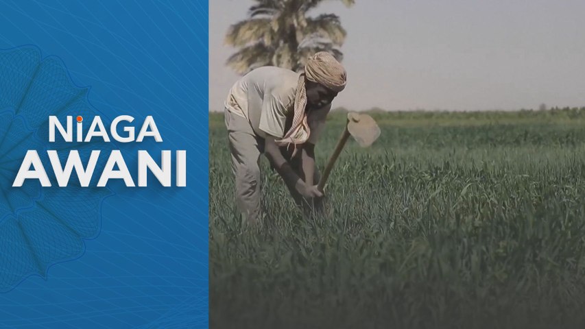 Keselamatan makanan global terancam