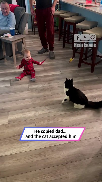 Baby & Cat Become Instant Besties—Cutest Playtime Ever!|| Heartsome 💖