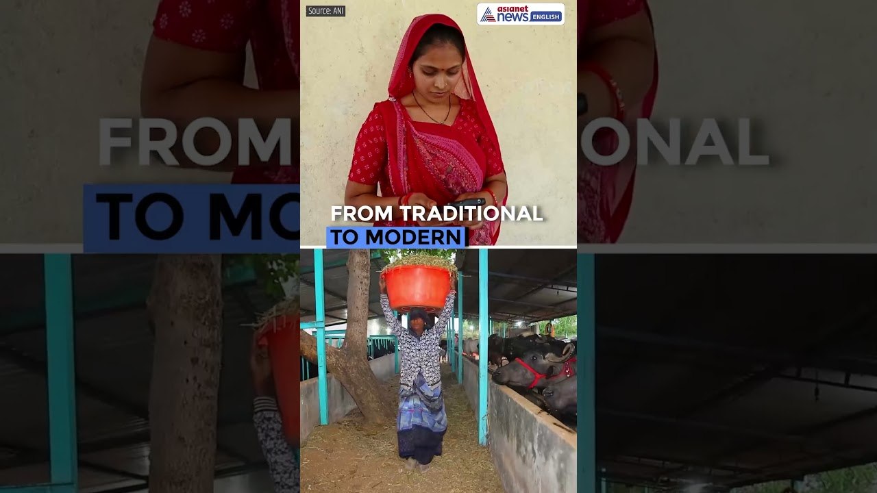 AI Revolution in Gujarat Dairy Farming: Smart Farmers, Better Milk Production | India #Shorts