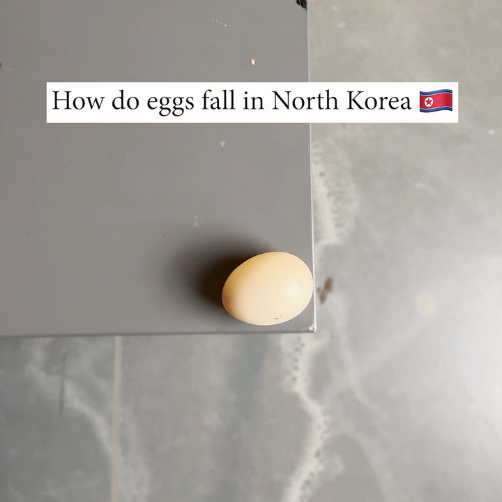 Did you crack up for this 🥚😂