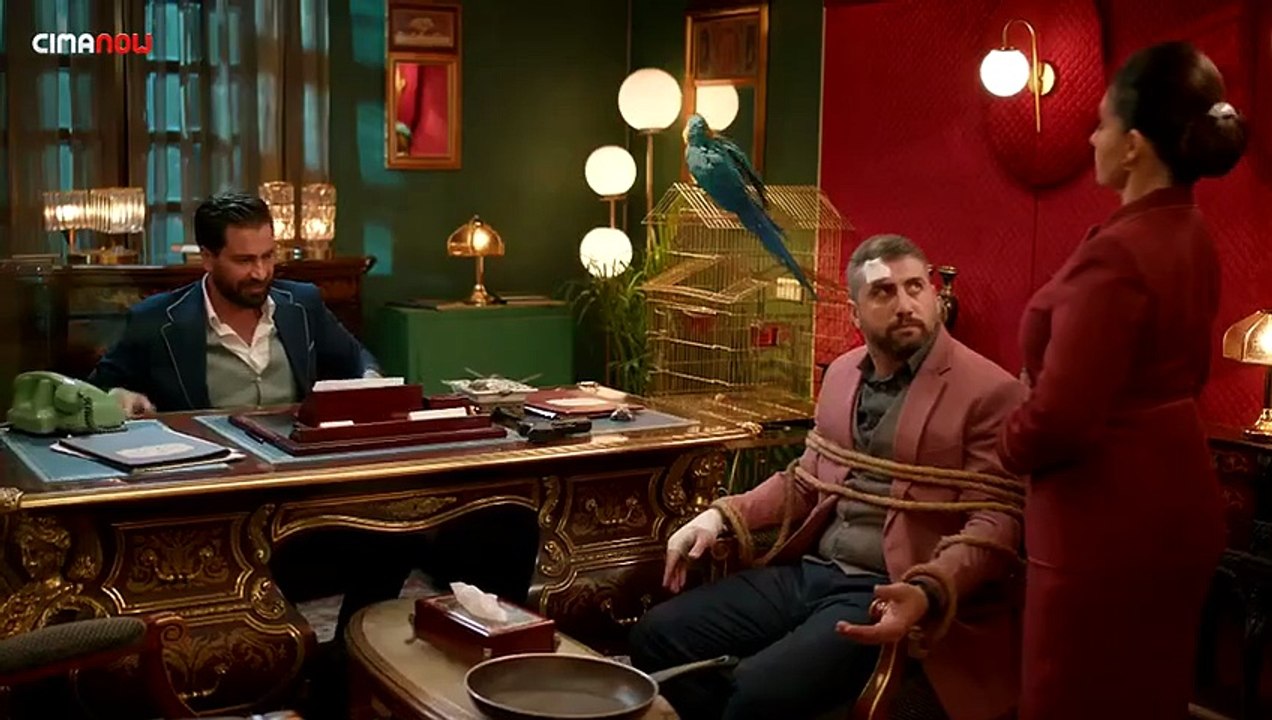 لوبي الغرام 15