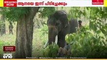 വയനാട് വടക്കനാട് ജനവാസ മേഖലയിൽ ഭീതി പരത്തിയ ആനയെ ഉടൻ മയക്കുവെടി വച്ചേക്കും; ജാ​ഗ്രതാ നിർദേശം
