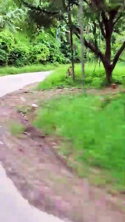 Bathchora View Point (ASMR) 07