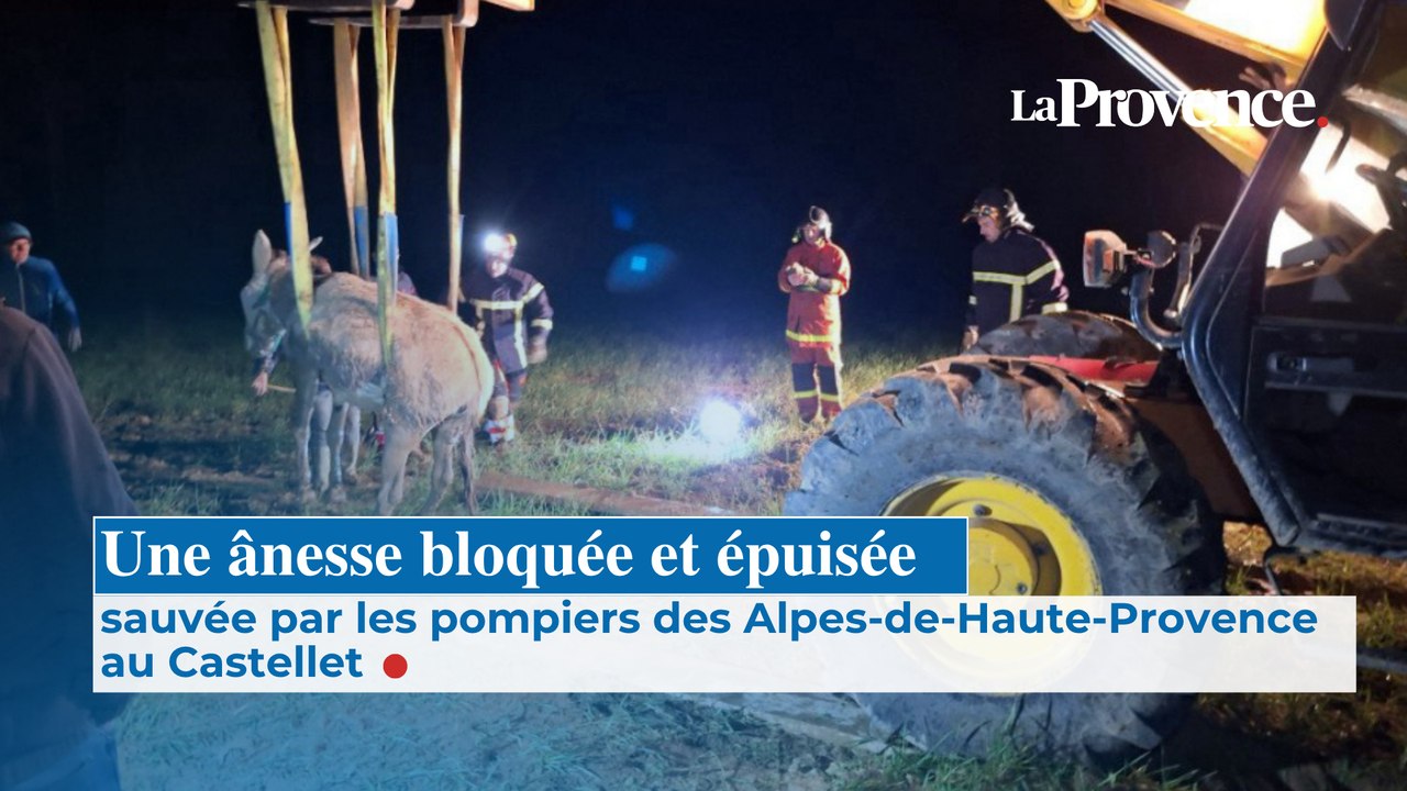 Une ânesse bloquée et épuisée sauvée par les pompiers des Alpes-de-Haute-Provence au Castellet