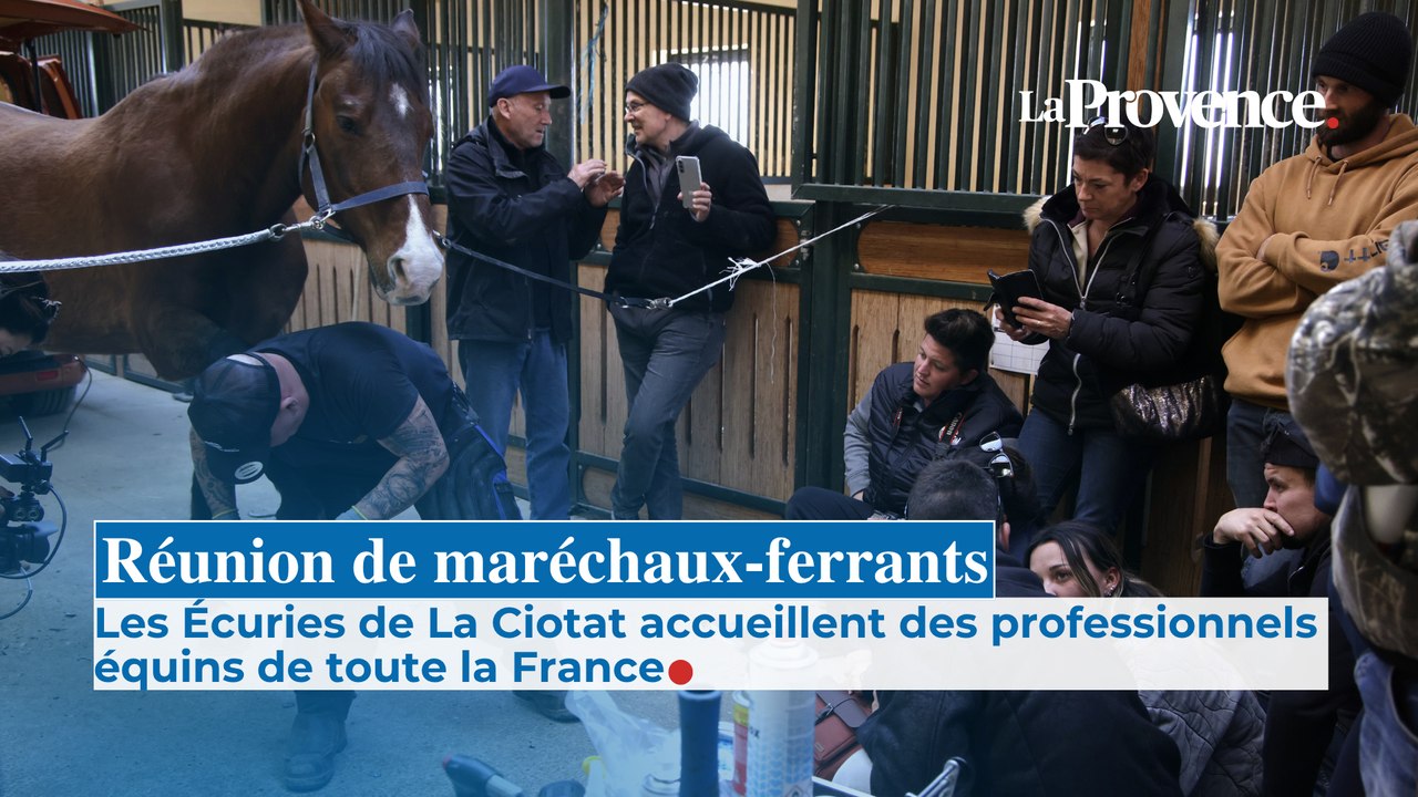 Une réunion de maréchaux-ferrants à La Ciotat
