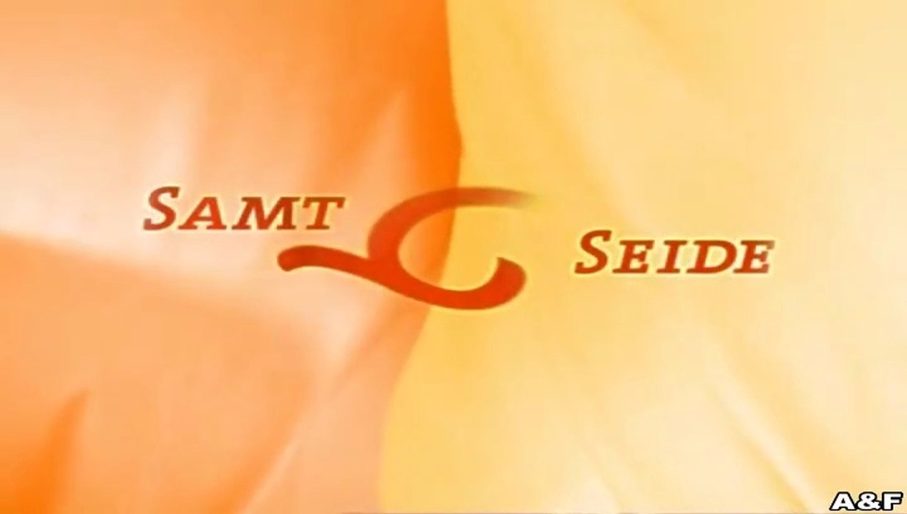 Samt.und.Seide -021- Irrtümer