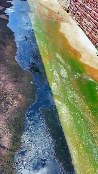 Moradora cobra providências para esgoto estourado há cerca de um mês no bairro Jatobá, em Patos