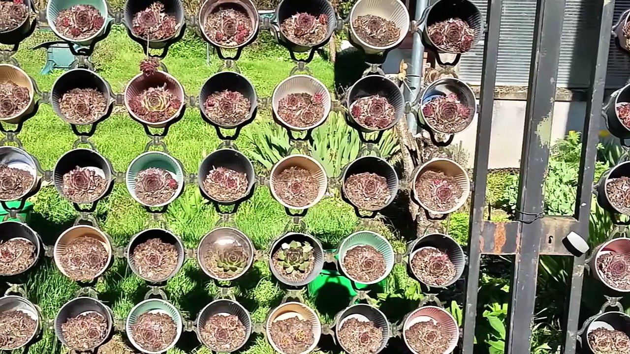 2026-MARS-RANDOS BALADES & SORTIES