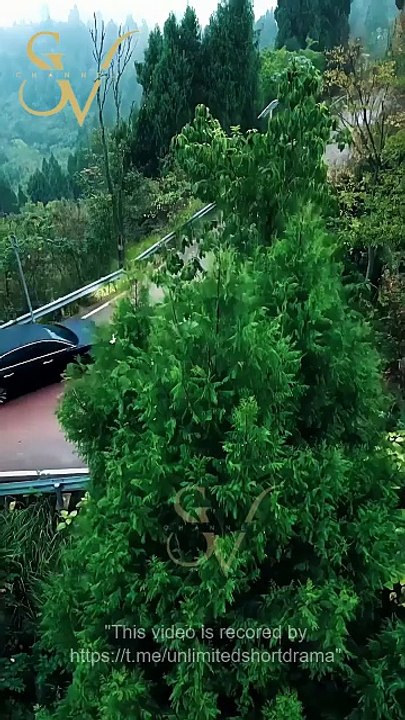 Dragon En Sommeil ÉMerge De Son Antre - Sous-Titres FrançAis