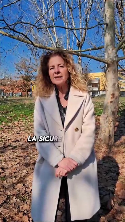 Sicurezza a Lodi, dal centrosinistra: "Percezione da non sottovalutare"