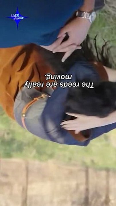 Beast Power: My Epic Comeback! - Full Episodes (Fantasy Power Awakening, Underdog Rise, Epic Revenge, English Sub HD) | MEGA SHORT DRAMA