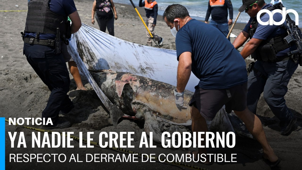 Ya nadie le cree al gobierno respecto al derrame de combustible en el golfo de México