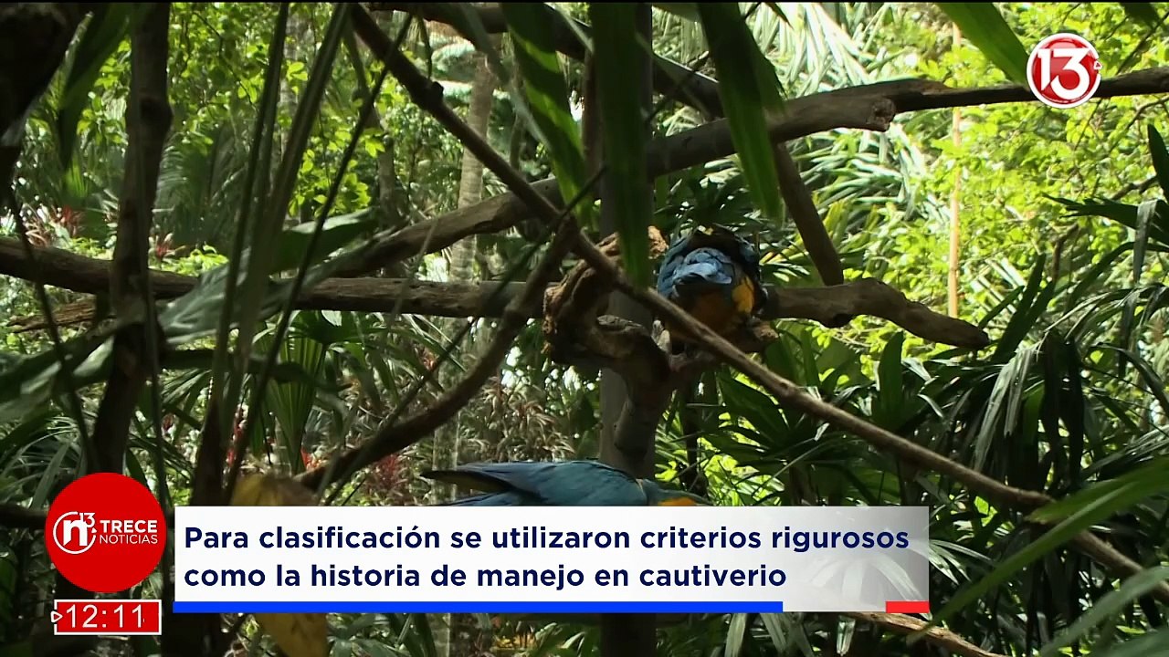 Trece Noticias - Edición Meridiana | 27 marzo 2026