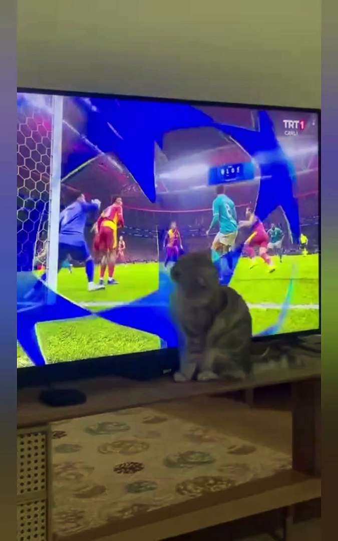 ⁣Funny Pets