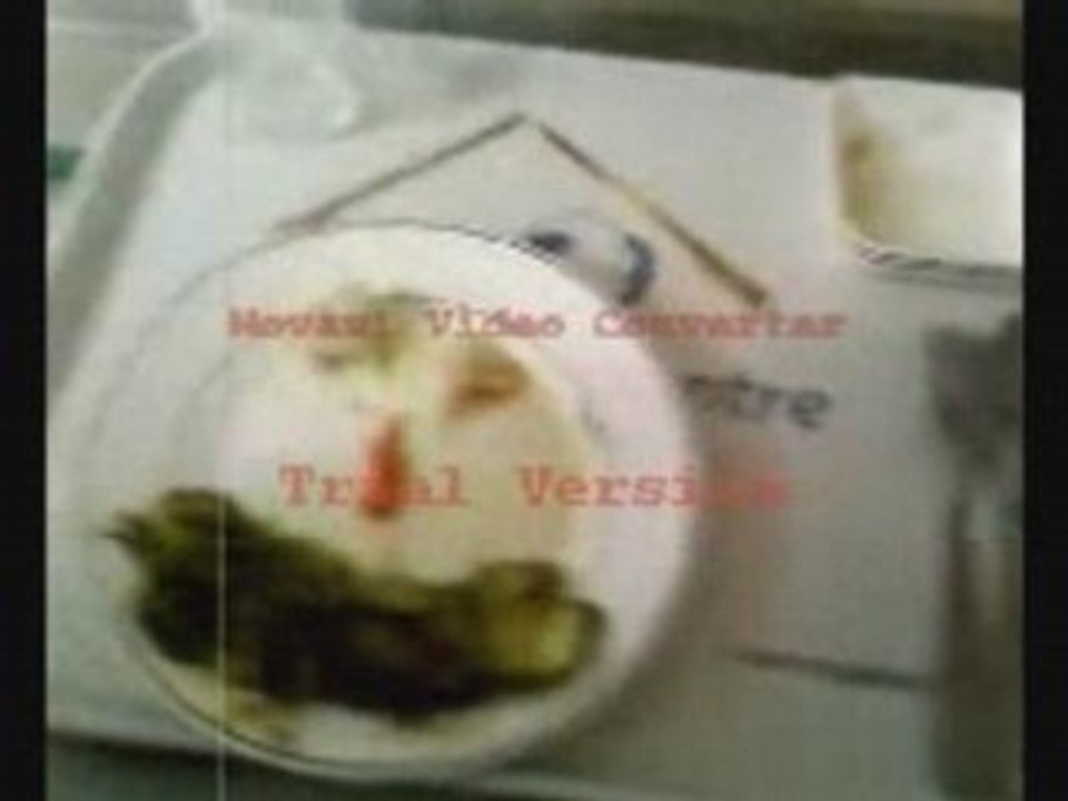 Plate clip