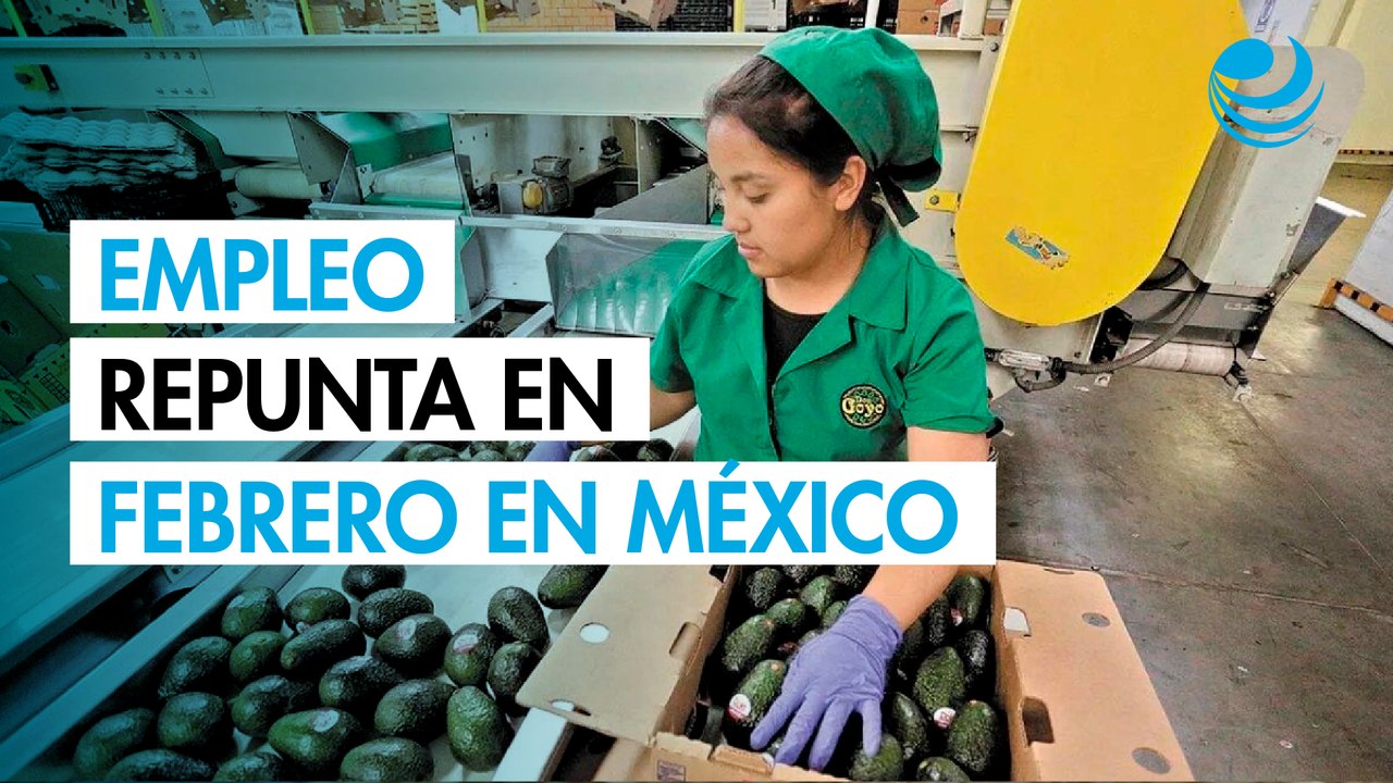 Mercado laboral recupera ritmo en febrero, más de medio millón de empleos creadosMercado laboral recupera ritmo en febrero, más de medio millón de empleos creadosMercado laboral recupera ritmo en febrero, más de medio millón de empleos creados