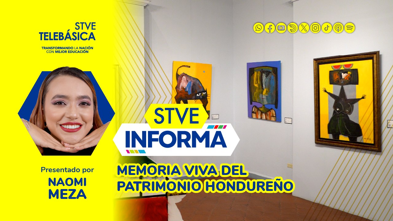 Galería Nacional de Arte: STVE Informa