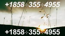 ➺2o26￫Coinbase®〙 Customer Service➺￫ Toll-Free℠ Numbers – Full Guidenical SupPort WaLlEt®
