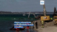 Wyrzucony na brzeg wieloryb, wrócił do morza. "To nie koniec akcji"