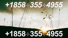 『Coinbase CUSTOMER®』 SERVICE© CARE℗ NUMBERS TOLL FREE NUMBER: Easy Step by Step Guide
