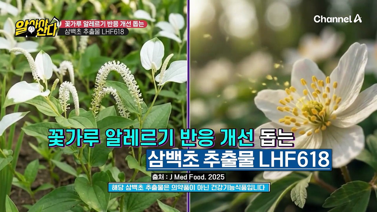 봄은 비염 환자에게 눈물/콧물의 계절! 꽃가루 알레르기 반응 개선 돕는 비염이 부르는...