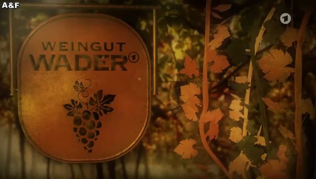 Weingut Wader -03- Nur zusammen sind wir stark