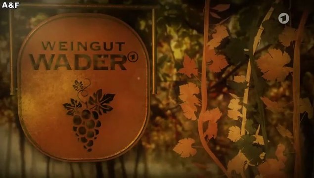 Weingut Wader -03- Nur zusammen sind wir stark