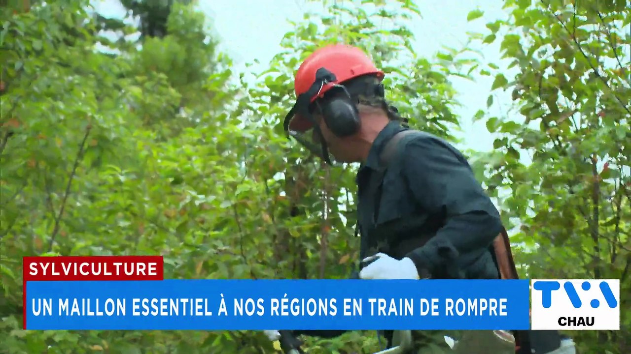 TVA Nouvelles CHAU 18h 27 mars 2026