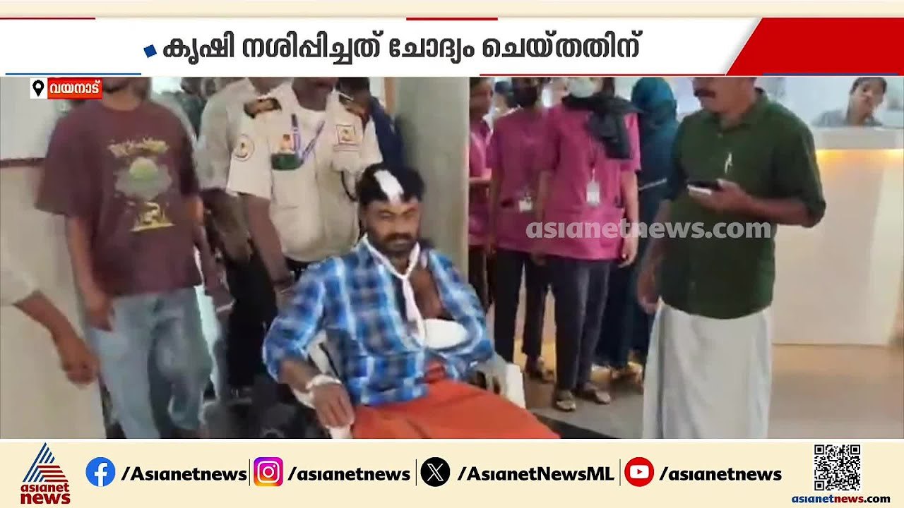 വയനാട് നെന്മേനിയിൽ മരം മുറിച്ച് കൊണ്ട് പോകുന്നതിനിടെ തർക്കം; സംഘർഷത്തിൽ യുവാവിന് വെട്ടേറ്റു