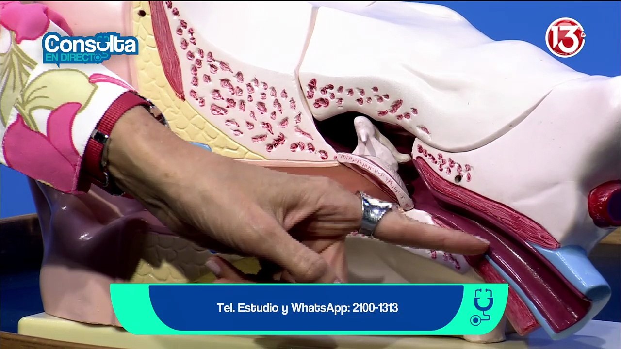 Consulta_en_directo_27-3-2026