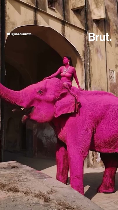 Photographer draws backlash for painting an elephant for photoshoot