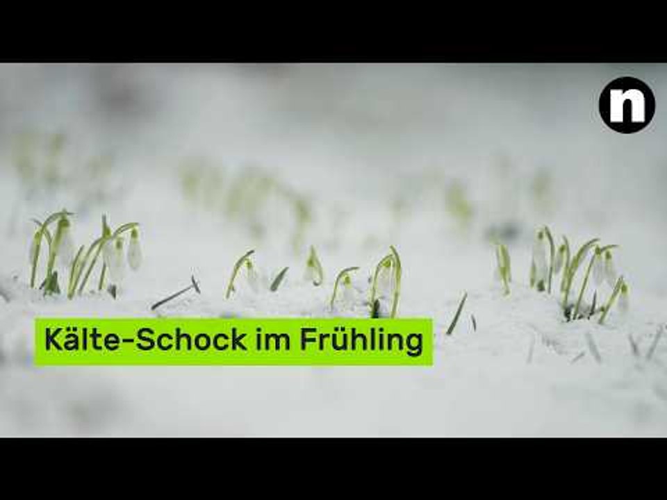 Kälte-Schock im Frühling: DWD warnt vor Sturm, Schnee und Frostnächten