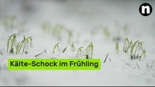 Kälte-Schock im Frühling: DWD warnt vor Sturm, Schnee und Frostnächten