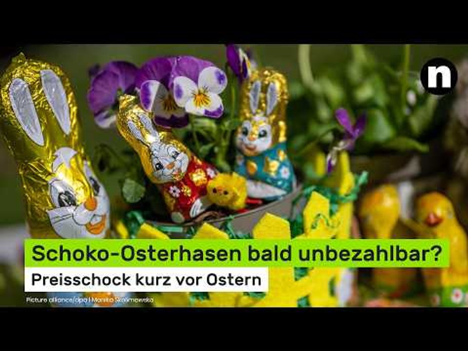 Schoko-Osterhasen bald unbezahlbar? Preisschock kurz vor Ostern