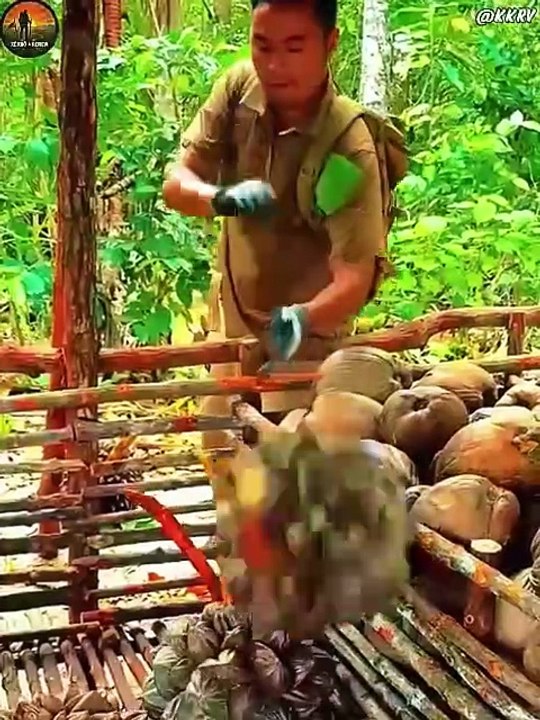 Phần 4- Full Thử Thách Sinh Tồn Đảo Hoang Hemahera Papua
