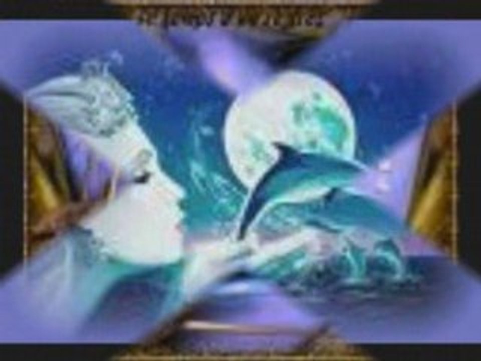 Le gentil dauphin