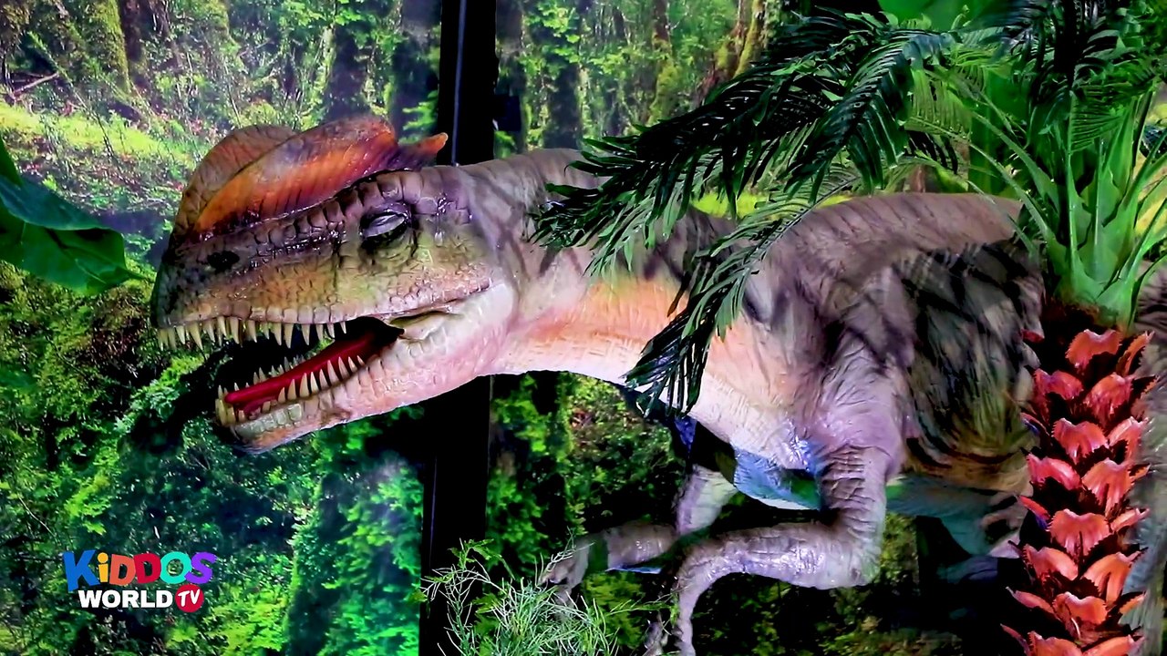 Dinosaur Match