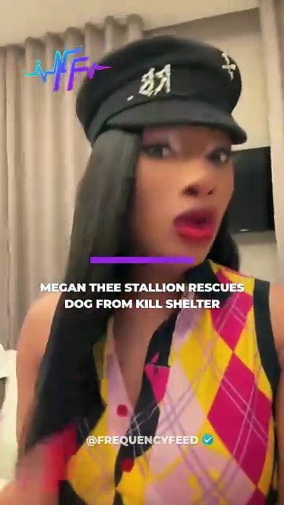 Megan Thee Stallion is welcoming a new pup into her brood!