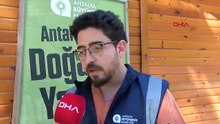 Antalya'da uçan sincap operasyonu! Doğanın en sıradışı canlıları ele geçirildi