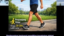 Jalan kaki Durasi Segini Bisa Cegah mati Muda
