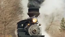 Vintage Steam Train in the Forest