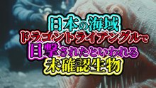 日本の海域 ドラゴントライアングルで目撃されたと言われる 未確認生物