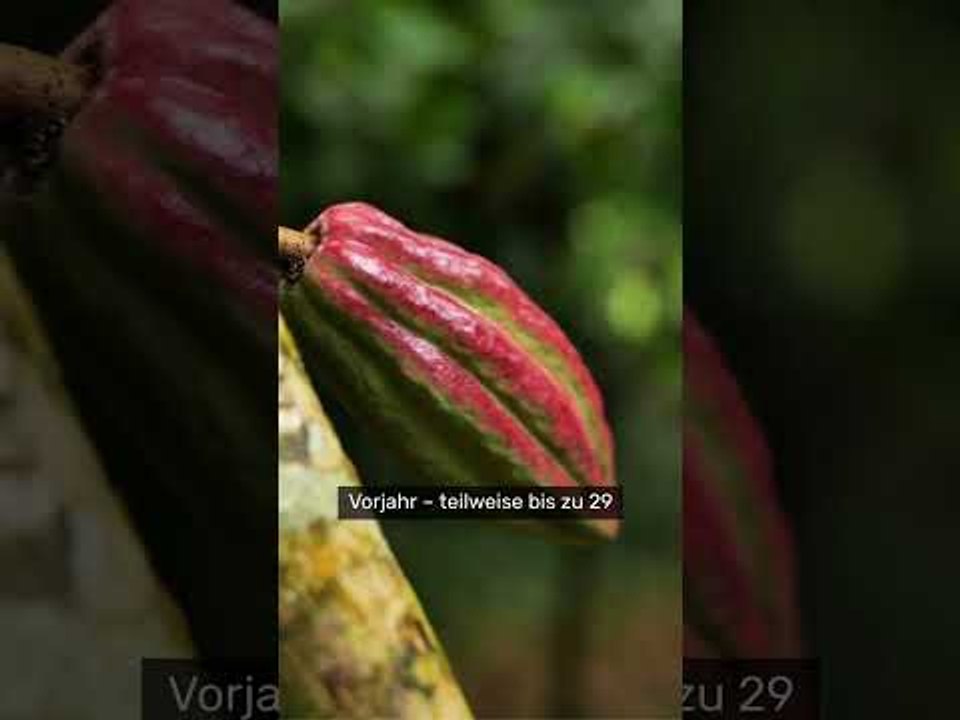 Schoko-Osterhasen werden immer teurer - so schrauben die Hersteller die Preise hoch