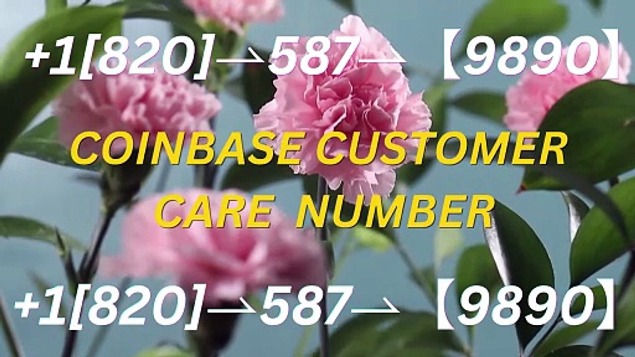 【QQ*】≋【Coinbase®】Support Options Explained | ™️Phone Numbers ≋